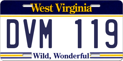 WV license plate DVM119