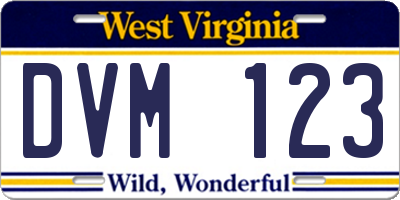 WV license plate DVM123
