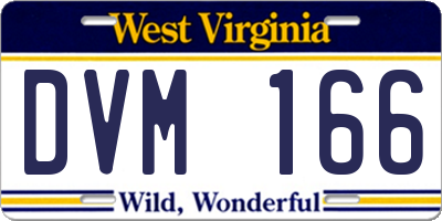 WV license plate DVM166