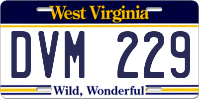 WV license plate DVM229