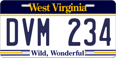 WV license plate DVM234