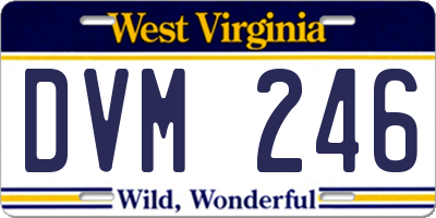 WV license plate DVM246