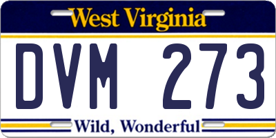 WV license plate DVM273