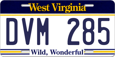 WV license plate DVM285