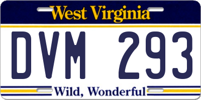 WV license plate DVM293