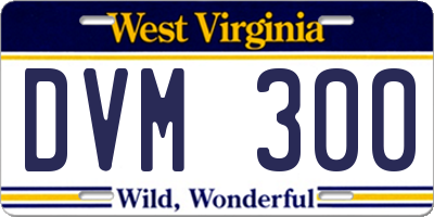 WV license plate DVM300