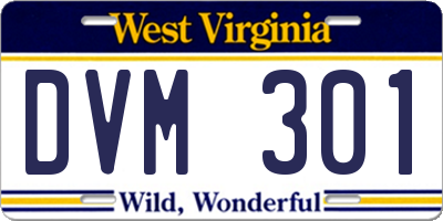 WV license plate DVM301