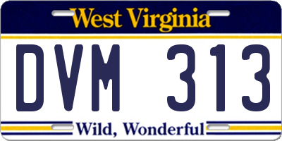WV license plate DVM313