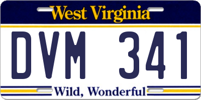 WV license plate DVM341