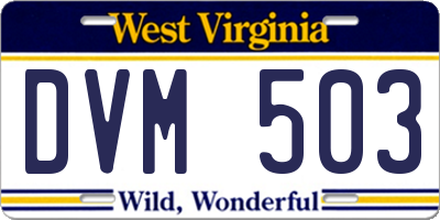 WV license plate DVM503