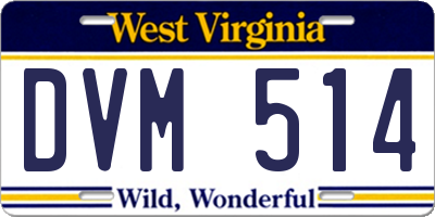 WV license plate DVM514