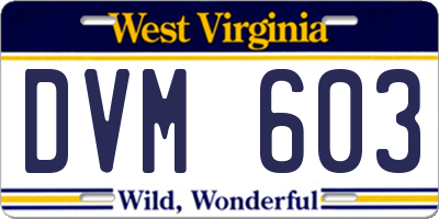 WV license plate DVM603