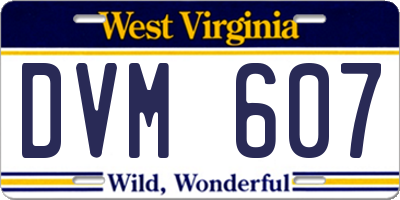 WV license plate DVM607