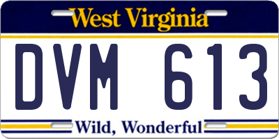 WV license plate DVM613