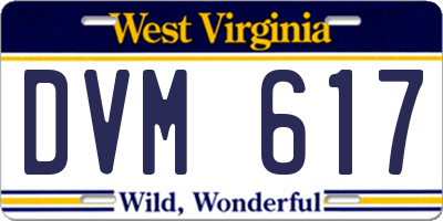 WV license plate DVM617