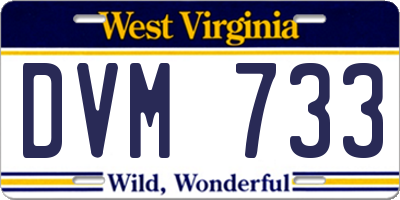 WV license plate DVM733