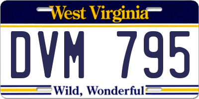 WV license plate DVM795