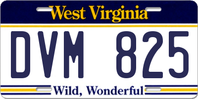WV license plate DVM825