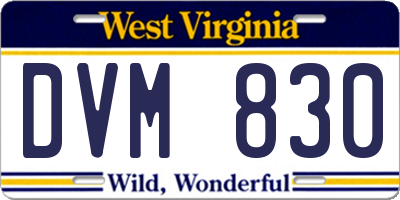 WV license plate DVM830