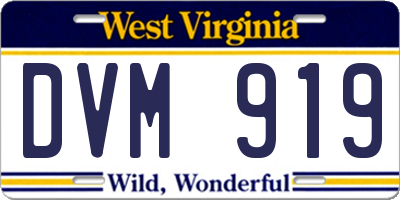 WV license plate DVM919