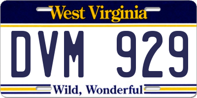 WV license plate DVM929