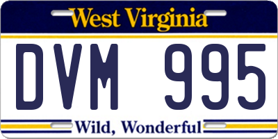 WV license plate DVM995