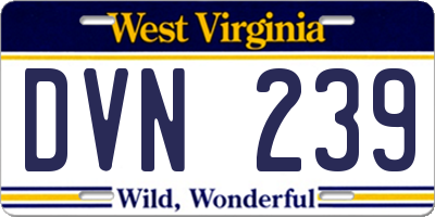 WV license plate DVN239