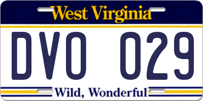 WV license plate DVO029