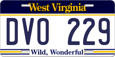 WV license plate DVO229