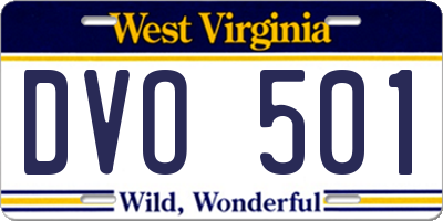 WV license plate DVO501