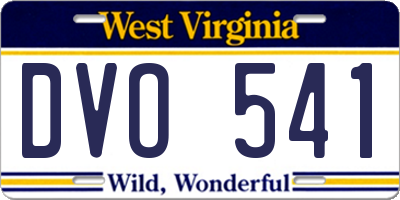 WV license plate DVO541