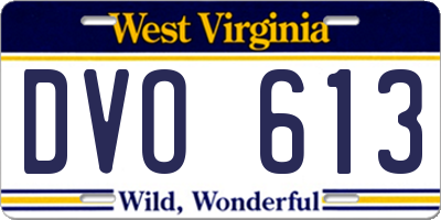 WV license plate DVO613