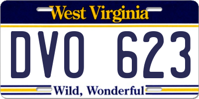 WV license plate DVO623