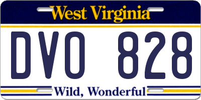 WV license plate DVO828