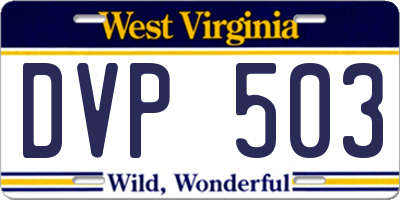 WV license plate DVP503