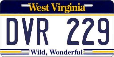 WV license plate DVR229