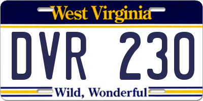 WV license plate DVR230