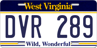 WV license plate DVR289