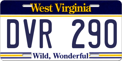WV license plate DVR290