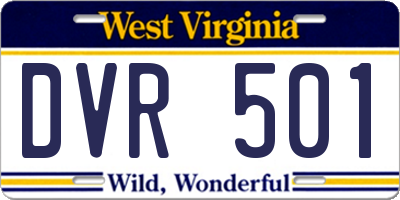 WV license plate DVR501