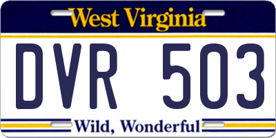 WV license plate DVR503