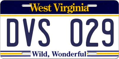 WV license plate DVS029