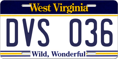 WV license plate DVS036