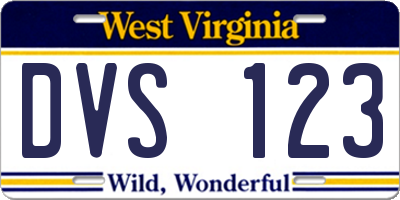 WV license plate DVS123