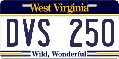 WV license plate DVS250