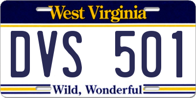 WV license plate DVS501