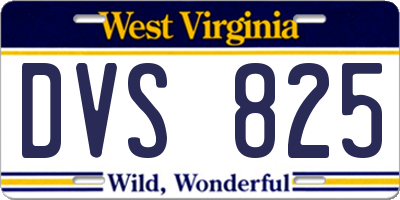 WV license plate DVS825