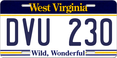 WV license plate DVU230