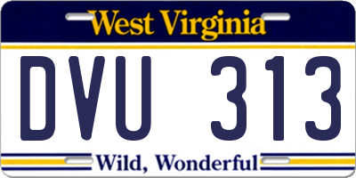 WV license plate DVU313