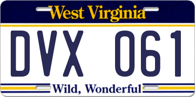 WV license plate DVX061